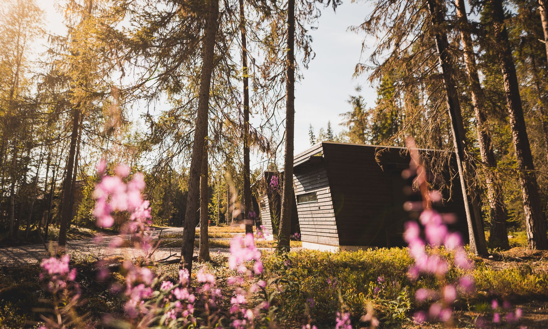 Accommodation, Panorama huts, outside, summer / Arctic Circle Wilderness Resort, Wild Nordic Finland @wildnordicfinland