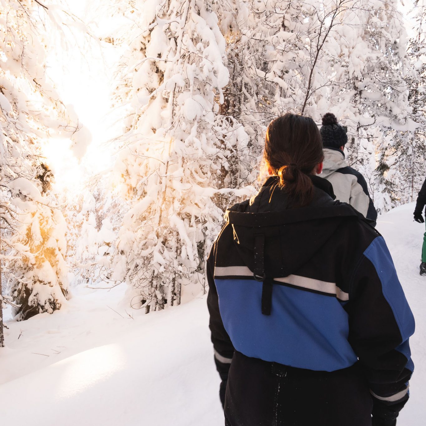 Activities / Easy snowshoeing in wilderness – Levi, Wild Nordic Finland @wildnordicfinland