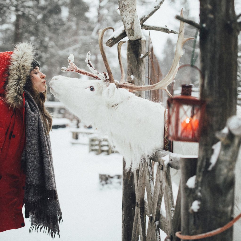 Woman in red winter coat smooching a white reindeer