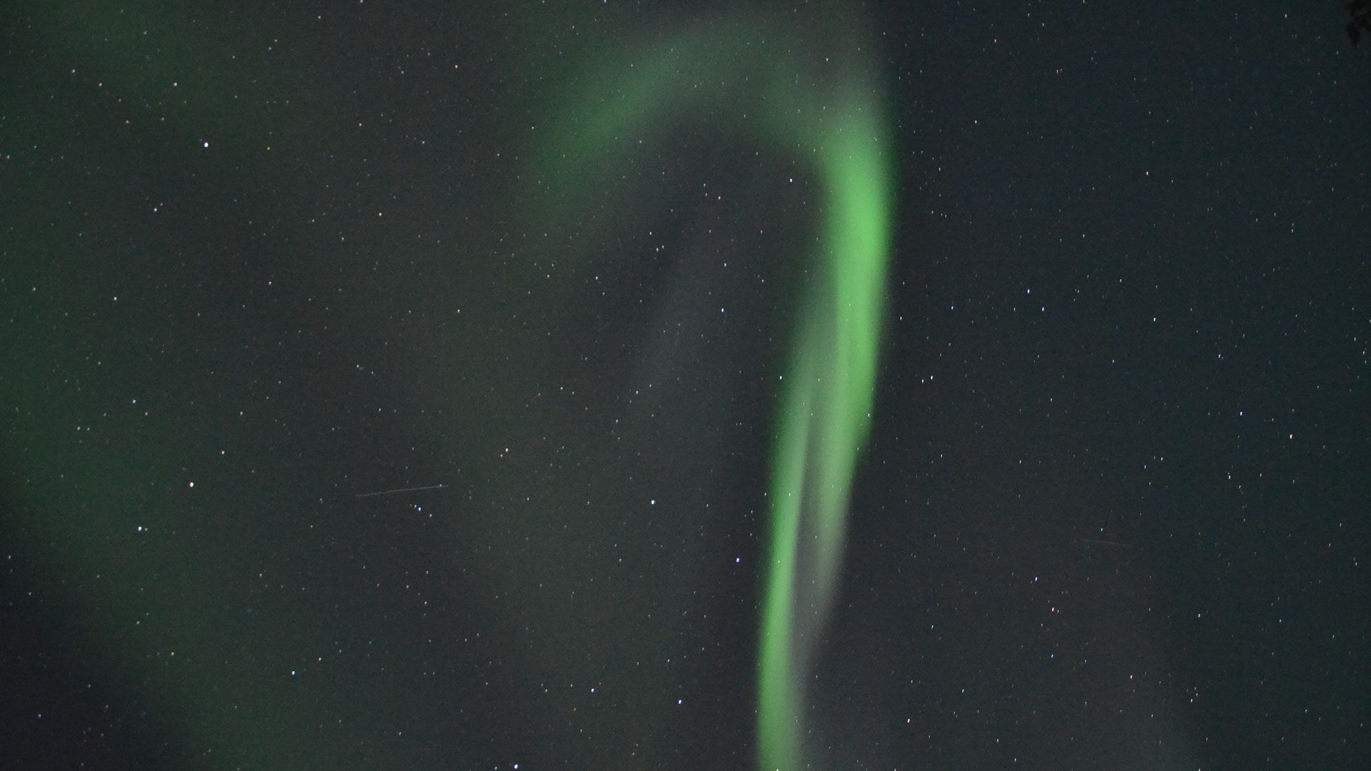 Activities / Search for the Northern Lights by Minivan – Levi, Wild Nordic Finland @wildnordicfinland