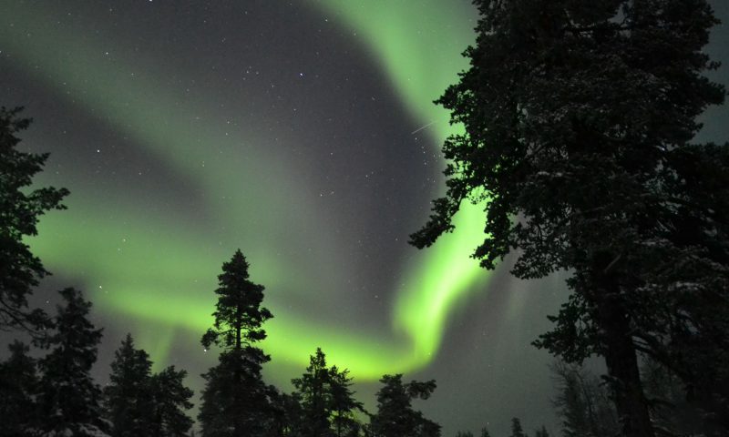 Activities / Snowmobile Safari to Search for the Northern Lights – Levi, Wild Nordic Finland @wildnordicfinland