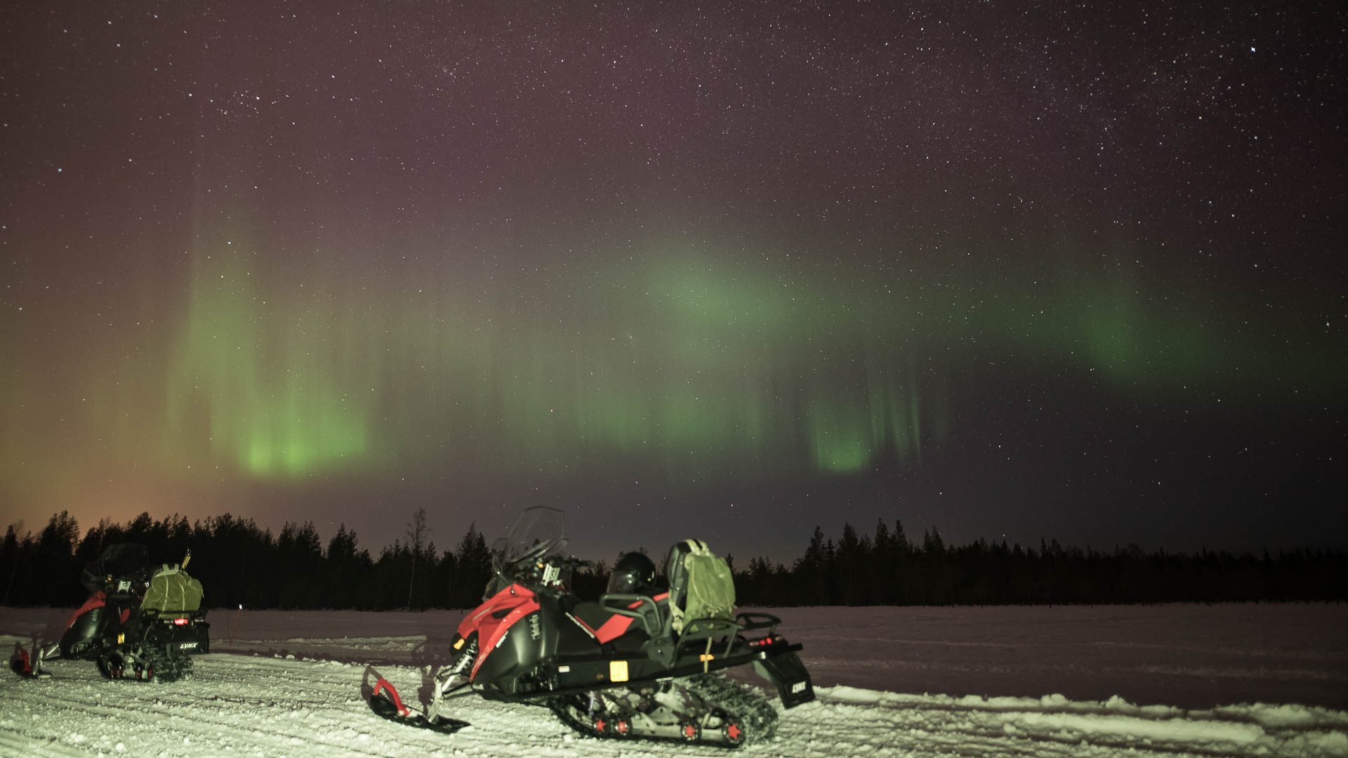Activities / Snowmobile Safari to Search for the Northern Lights – Levi, Wild Nordic Finland @wildnordicfinland