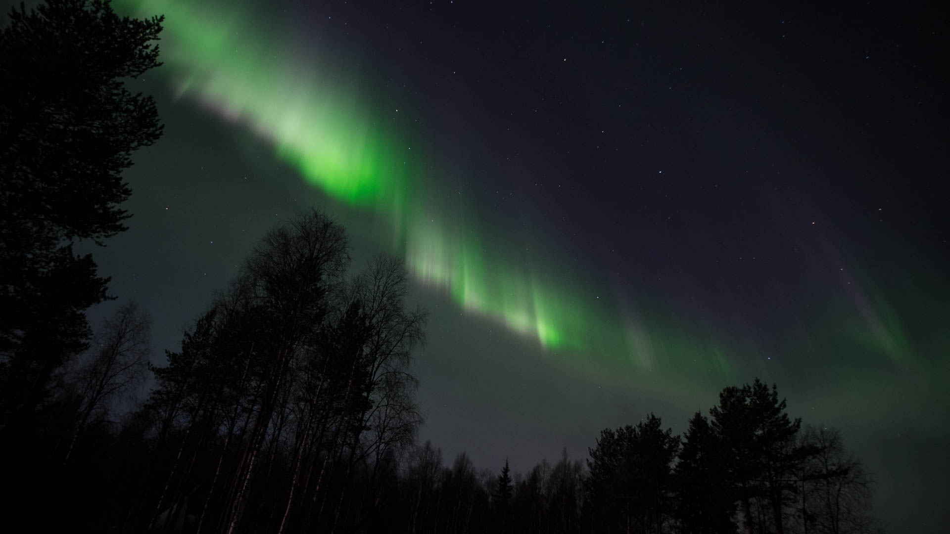 Activities / Snowmobile Safari to Search for the Northern Lights – Levi, Wild Nordic Finland @wildnordicfinland