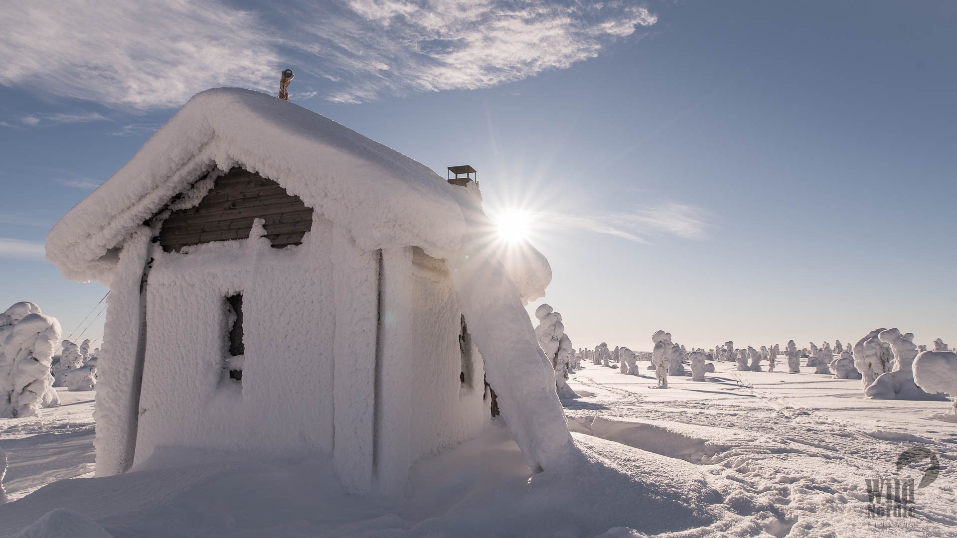Rovaniemi / Arctic Expeditions - Arctic Circle Back Country, Wild Nordic Finland @wildnordicfinland
