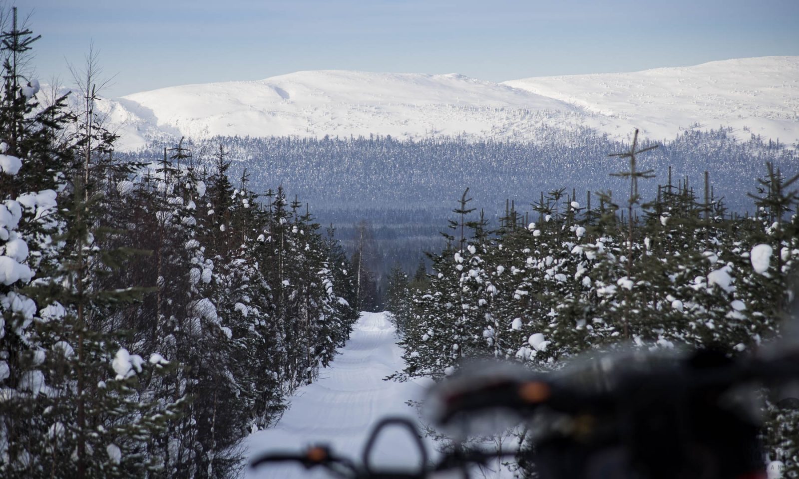 Rovaniemi / Arctic Expeditions - Tour de Lapland. Point of view: on a snowmobile about to ride down a snowy hill surrounded by forest, big snowy hills on background. Wild Nordic Finland @wildnordicfinland