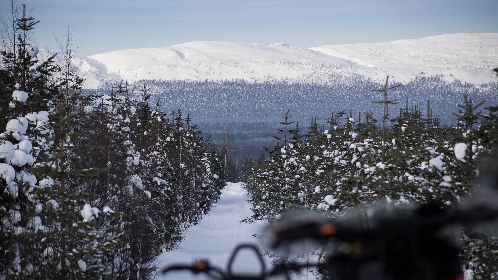 Rovaniemi / Arctic Expeditions - Tour de Lapland. Point of view: on a snowmobile about to ride down a snowy hill surrounded by forest, big snowy hills on background. Wild Nordic Finland @wildnordicfinland