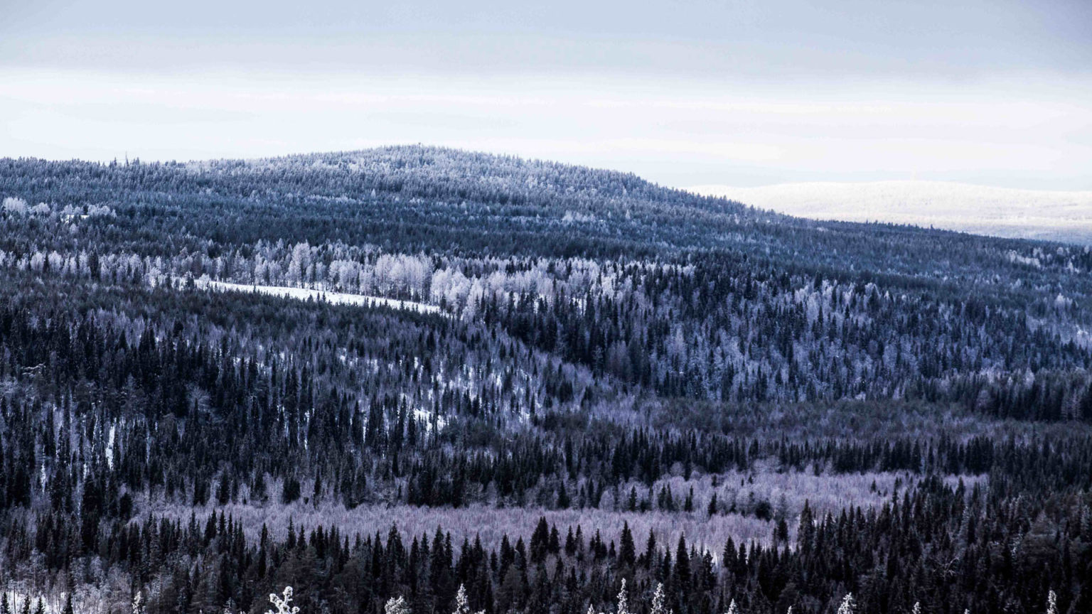 Backcountry Skiing Adventure, Rovaniemi, Arctic Circle Wilderness Resort, Wild Nordic Finland @wildnordicfinland