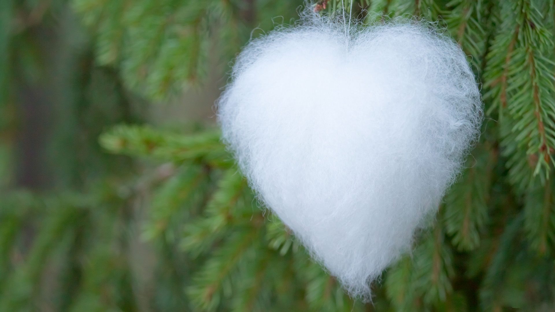 White fluffy heart with spruce on background