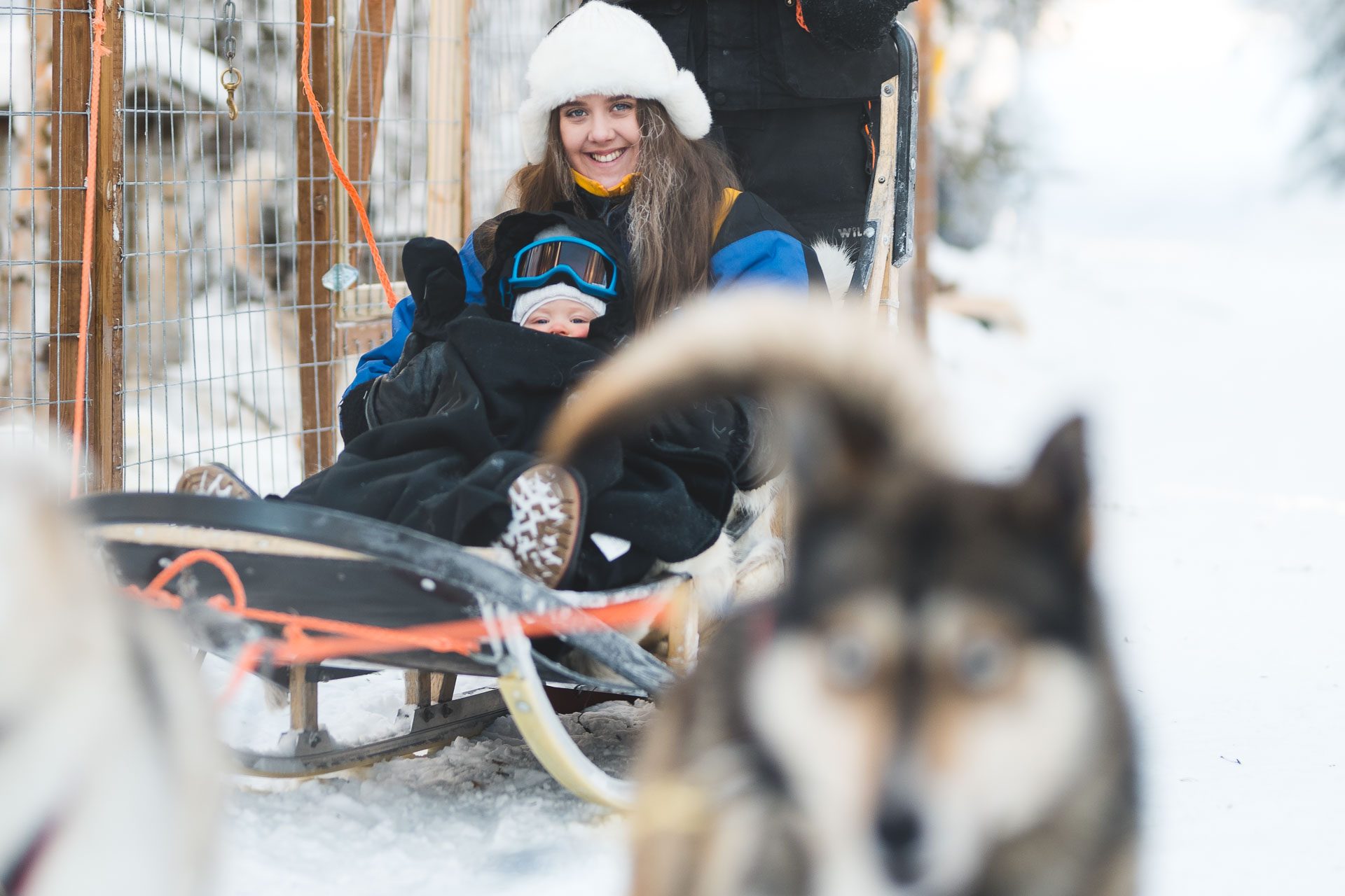 Husky Safari at the Wilderness Resort with lunch, Rovaniemi, Wild Nordic Finland @wildnordicfinland