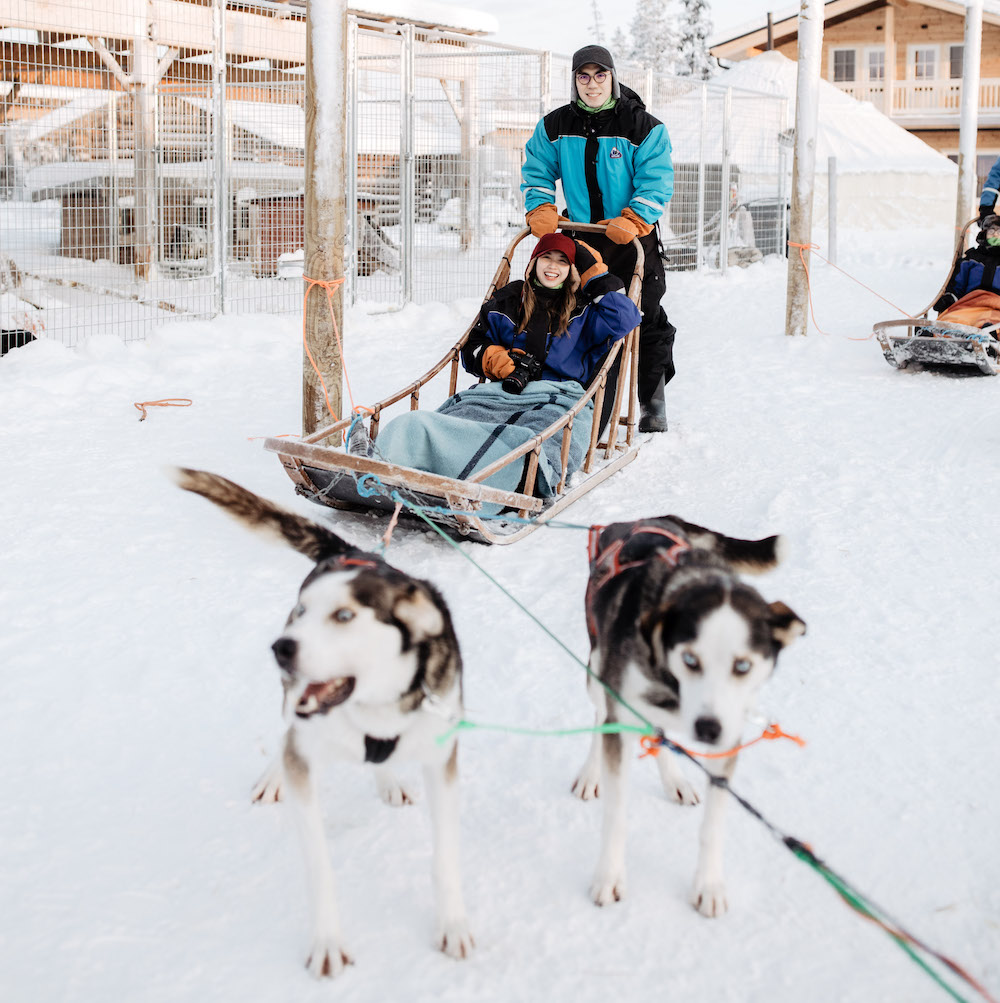 Husky – Born to run, Rovaniemi, Arctic Circle Wilderness Resort / @wildnordicfinland
