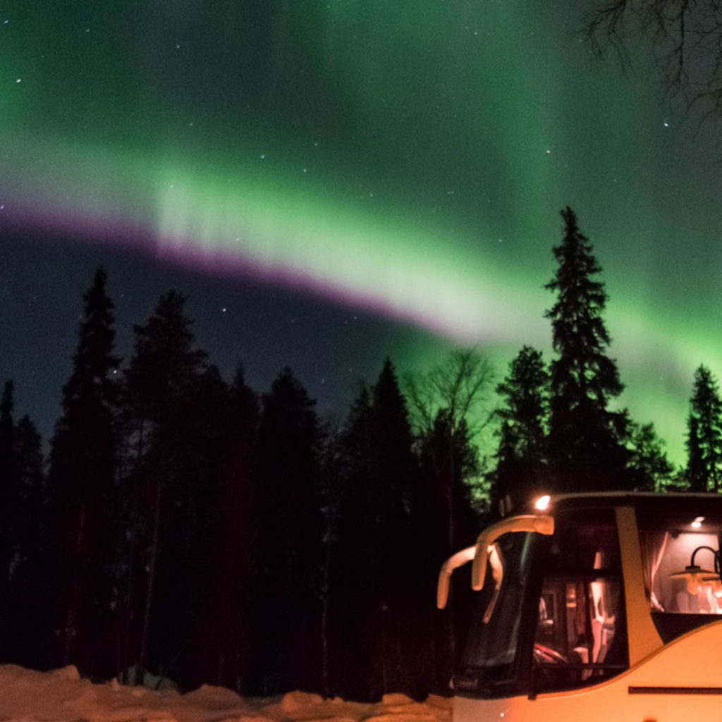 Northern Lights Hunting by Bus, Rovaniemi, Wild Nordic Finland @wildnordicfinland