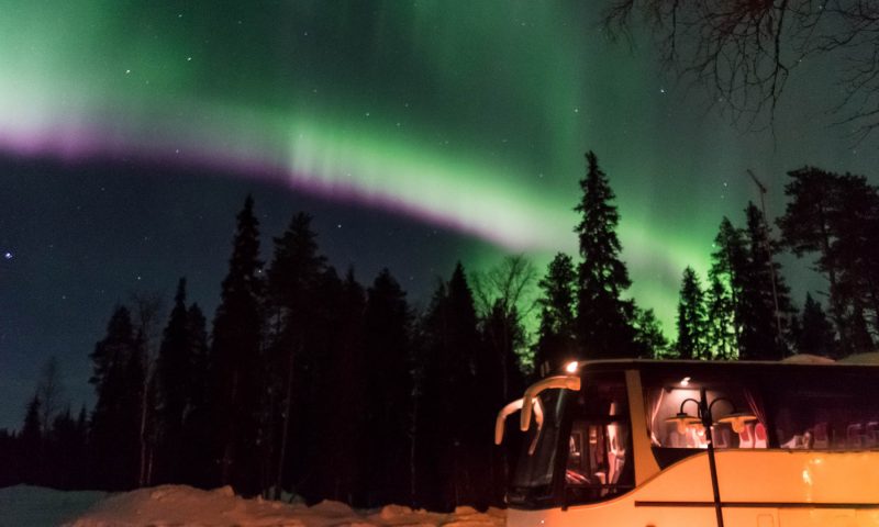 Northern Lights Hunting by Bus, Rovaniemi, Wild Nordic Finland @wildnordicfinland