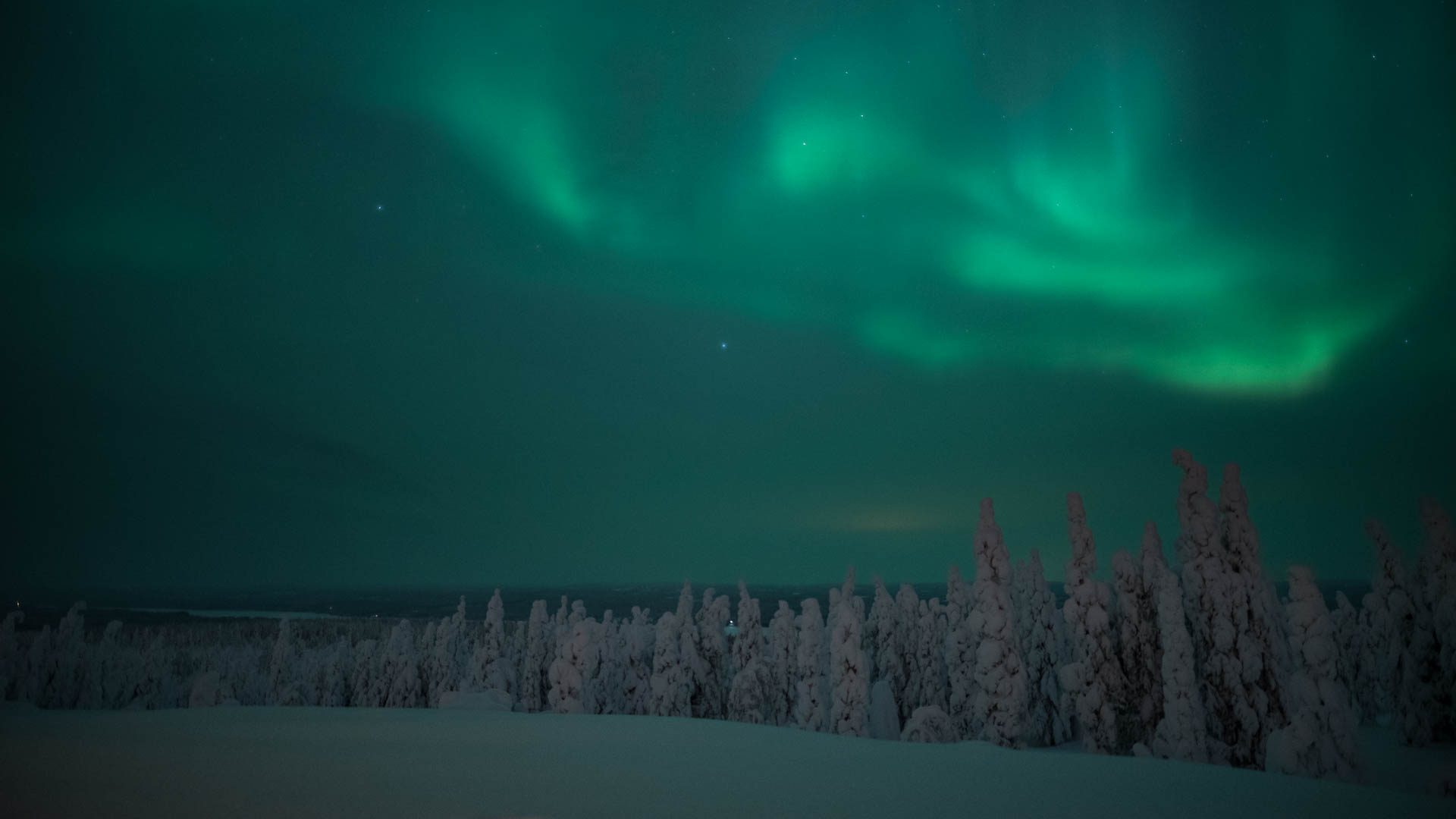 Northern Lights Sleigh Ride, Rovaniemi, Arctic Circle Wilderness Resort, Villi Pohjola / Wild Nordic Finland @wildnordicfinland. photo: Michael Mead