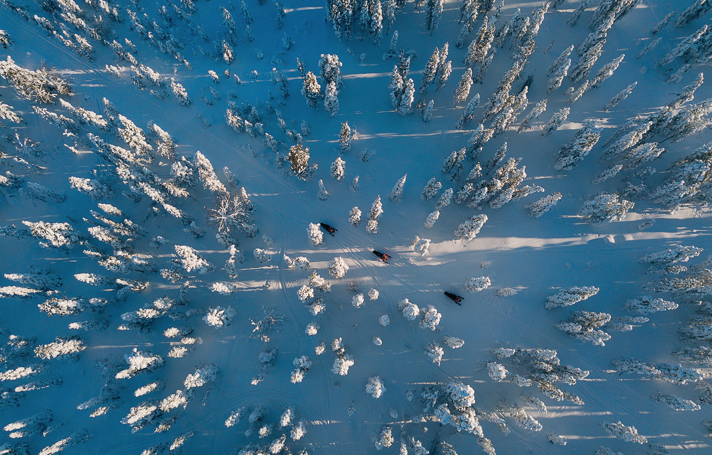 Panoramic Snowmobile Safari with Campfire Snack / Rovaniemi, Arctic Circle Wilderness Resort, Wild Nordic Finland @wildnordicfinland.
