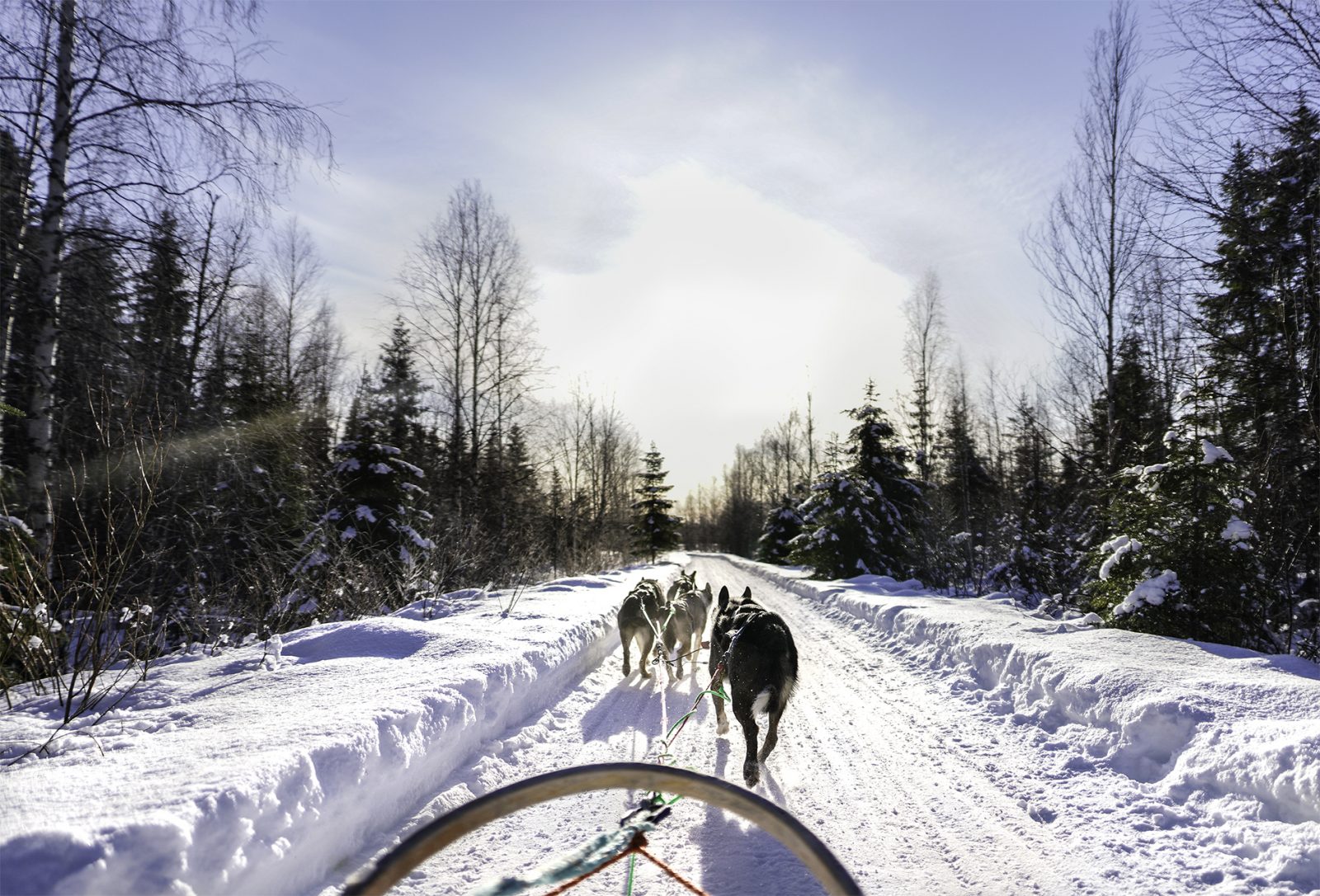 Reindeer and Husky Safari with Lunch, Rovaniemi, Wild Nordic Finland @wildnordicfinland
