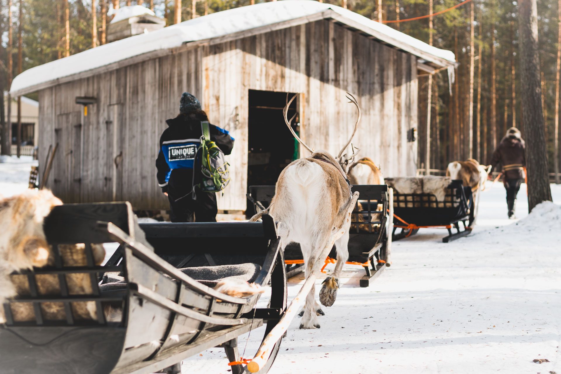 Reindeer Safari in the Deep Forest, Rovaniemi, Arctic Circle Wilderness Resort, Villi Pohjola / Wild Nordic Finland @wildnordicfinland