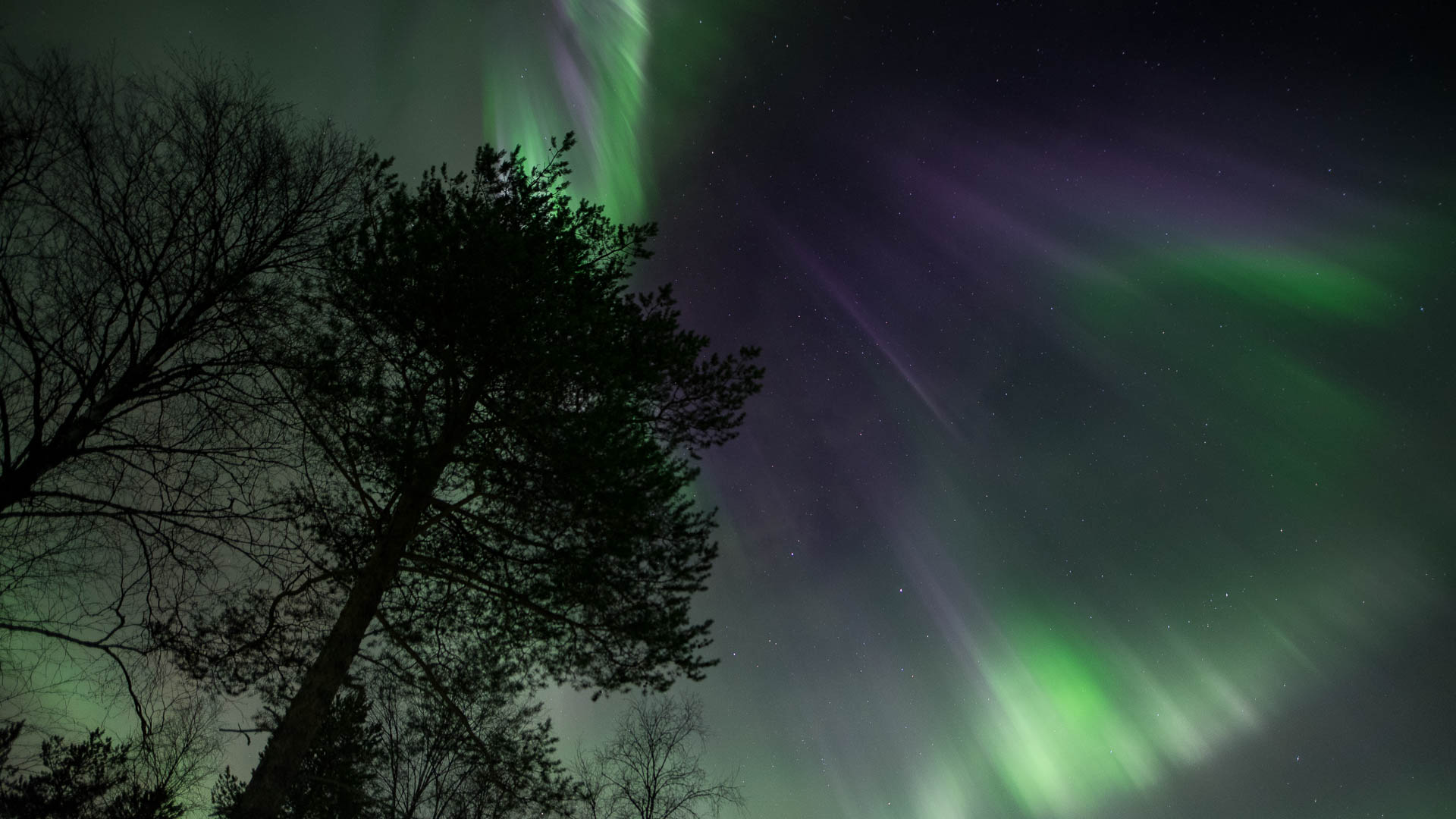 Reindeer Safari to Search for the Northern Lights, Rovaniemi, Wild Nordic Finland @wildnordicfinland