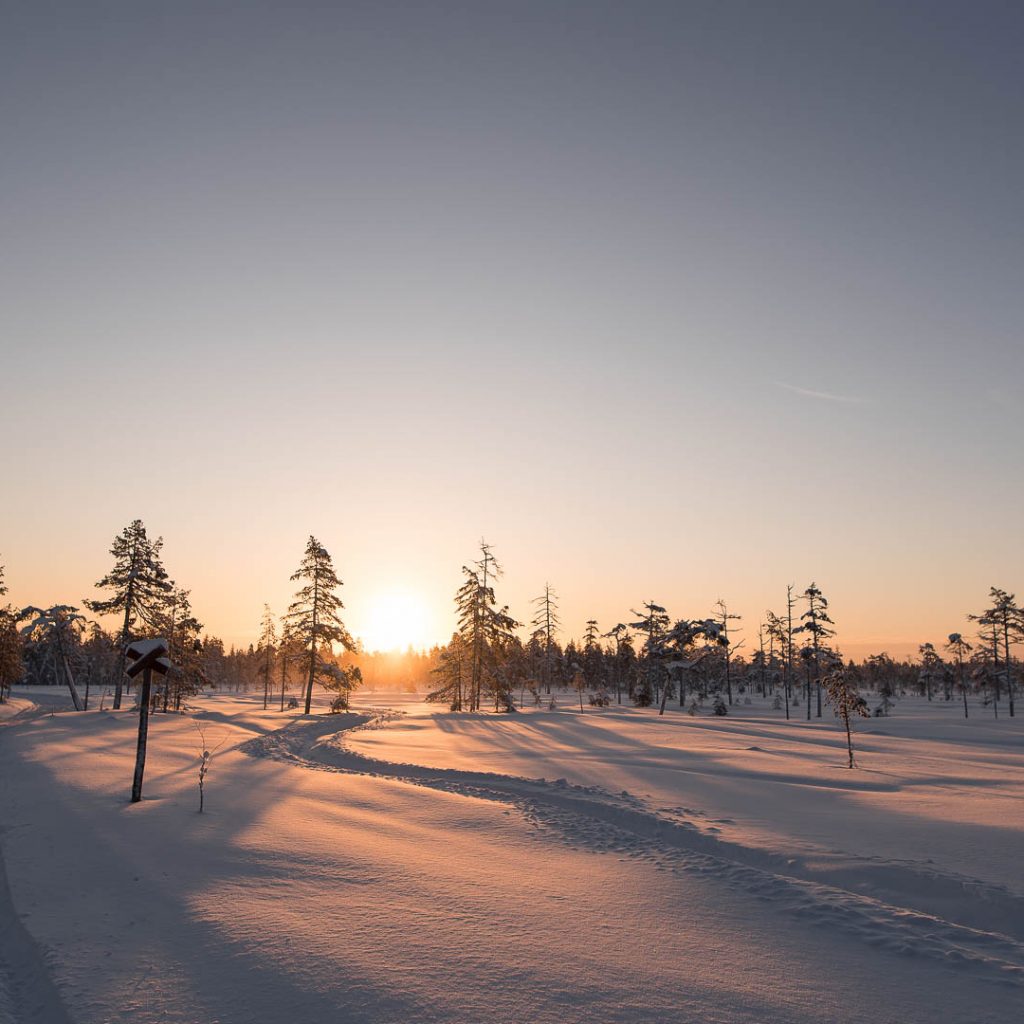Winter, sun, polar night, Villi Pohjola / Wild Nordic Finland @wildnordicfinland