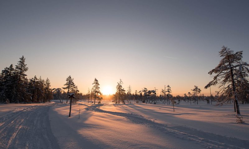 Winter, sun, polar night, Villi Pohjola / Wild Nordic Finland @wildnordicfinland