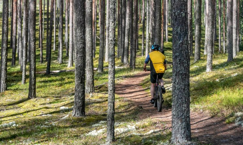 Bomba / Puu-Nurmeksen opastettu pyöräretki, kesä-aktiviteetit, Villi Pohjola / Wild Nordic Finland @wildnordicfinland