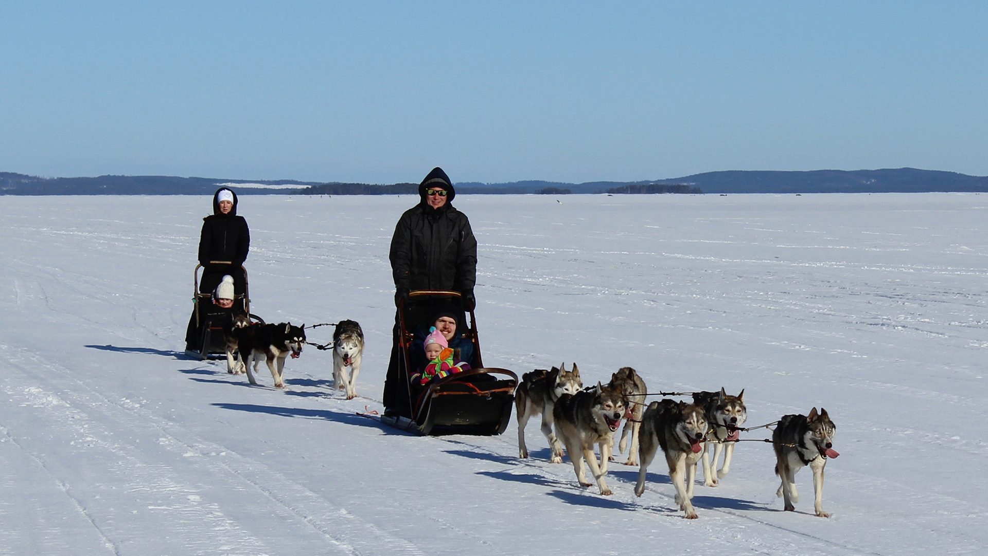 Lakeland, Bomba / Huskyajelu, Husky ride, talviaktiviteetti, Villi Pohjola / Wild Nordic Finland @wildnordicfinland