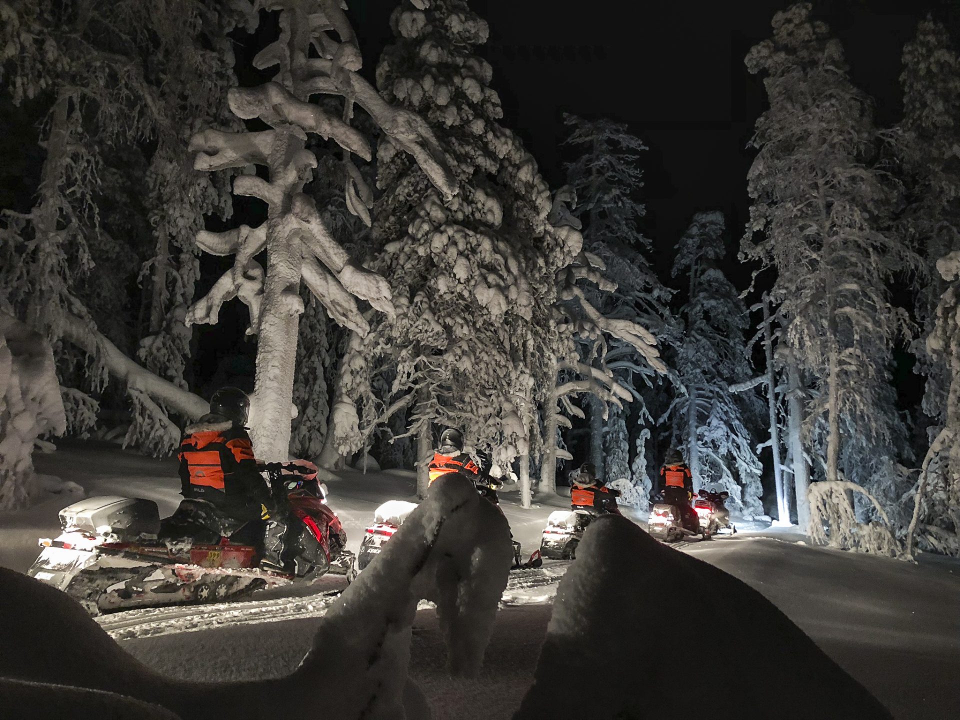 Lakeland, Bomba / Iltasafari moottorikelkalla, Evening snowmobile safari, talviaktiviteetti, Villi Pohjola / Wild Nordic Finland @wildnordicfinland
