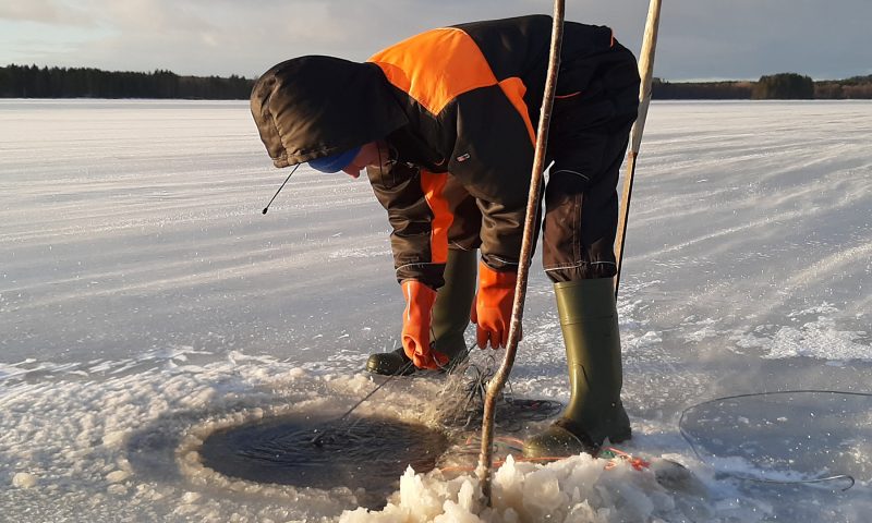 Lakeland, Bomba / Talviverkkojen kokeminen, Bomba Winter Fishing with a professional fisherman, talviaktiviteetti, Villi Pohjola / Wild Nordic Finland @wildnordicfinland