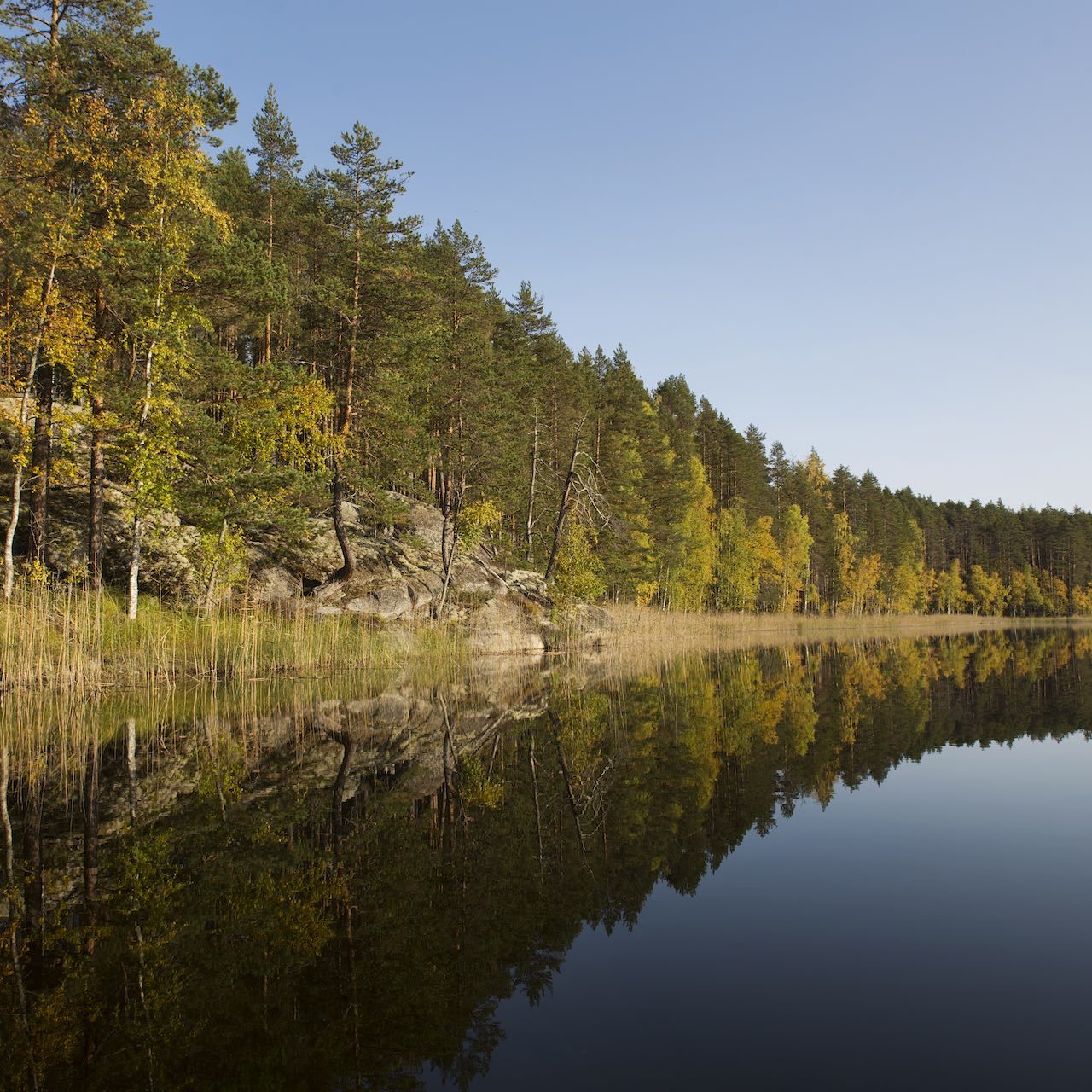 Lakeland, Bomba / Bushcraft - Erätaidot, ryhmille. Villi Pohjola / Wild Nordic Finland @wildnordicfinland
