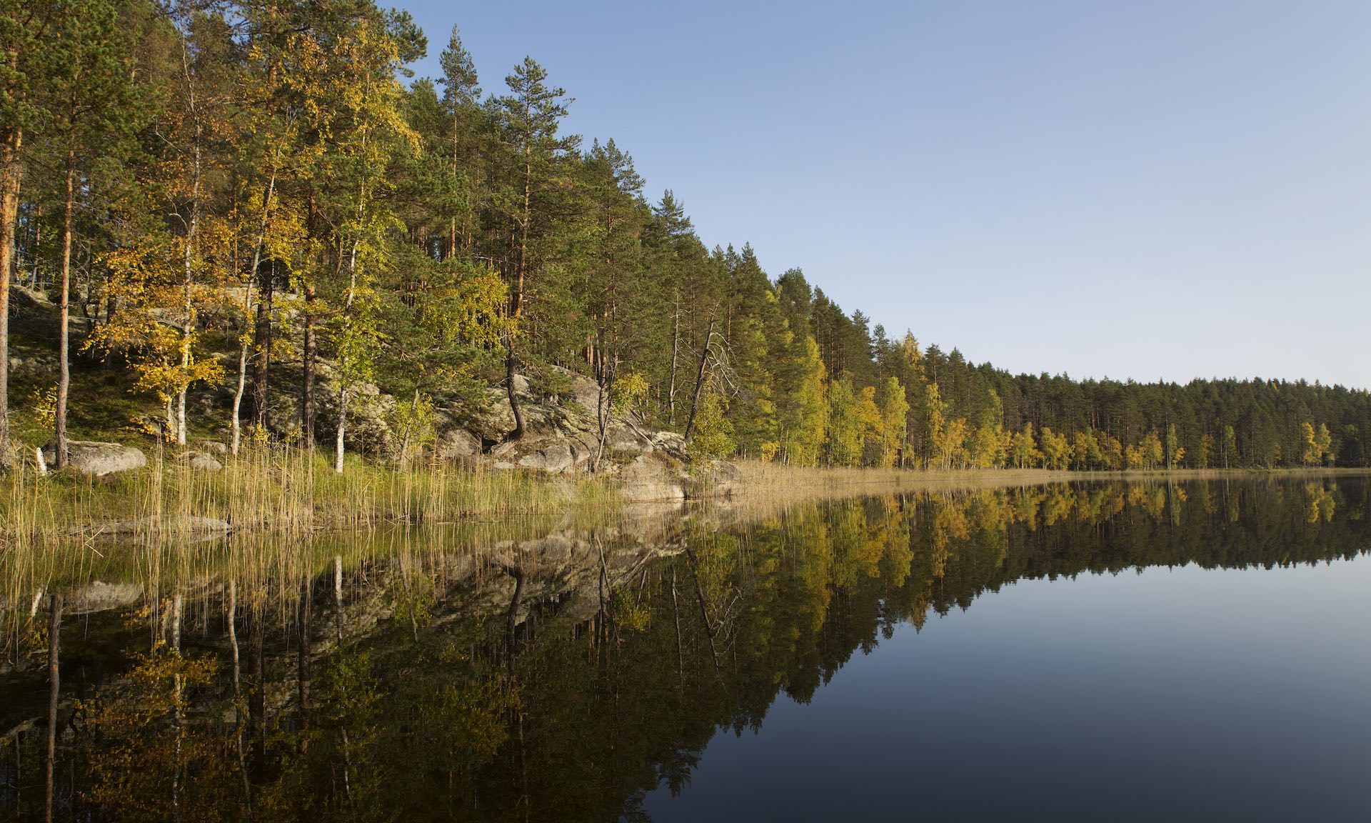 Lakeland, Bomba / Bushcraft - Erätaidot, ryhmille. Villi Pohjola / Wild Nordic Finland @wildnordicfinland