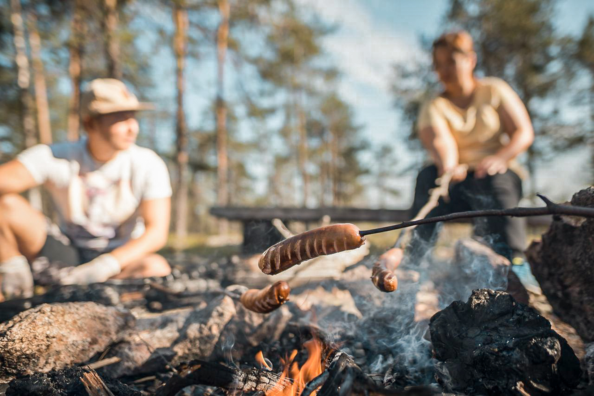 Rovaniemi activities – Wild berry and mushroom picking. Wild Nordic Finland @wildnordicfinland