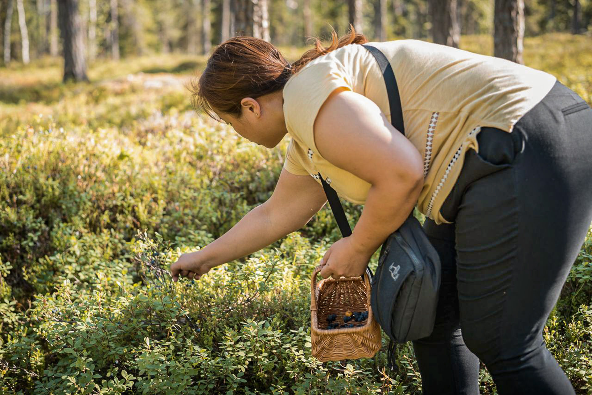 Rovaniemi activities – Wild berry and mushroom picking. Wild Nordic Finland @wildnordicfinland