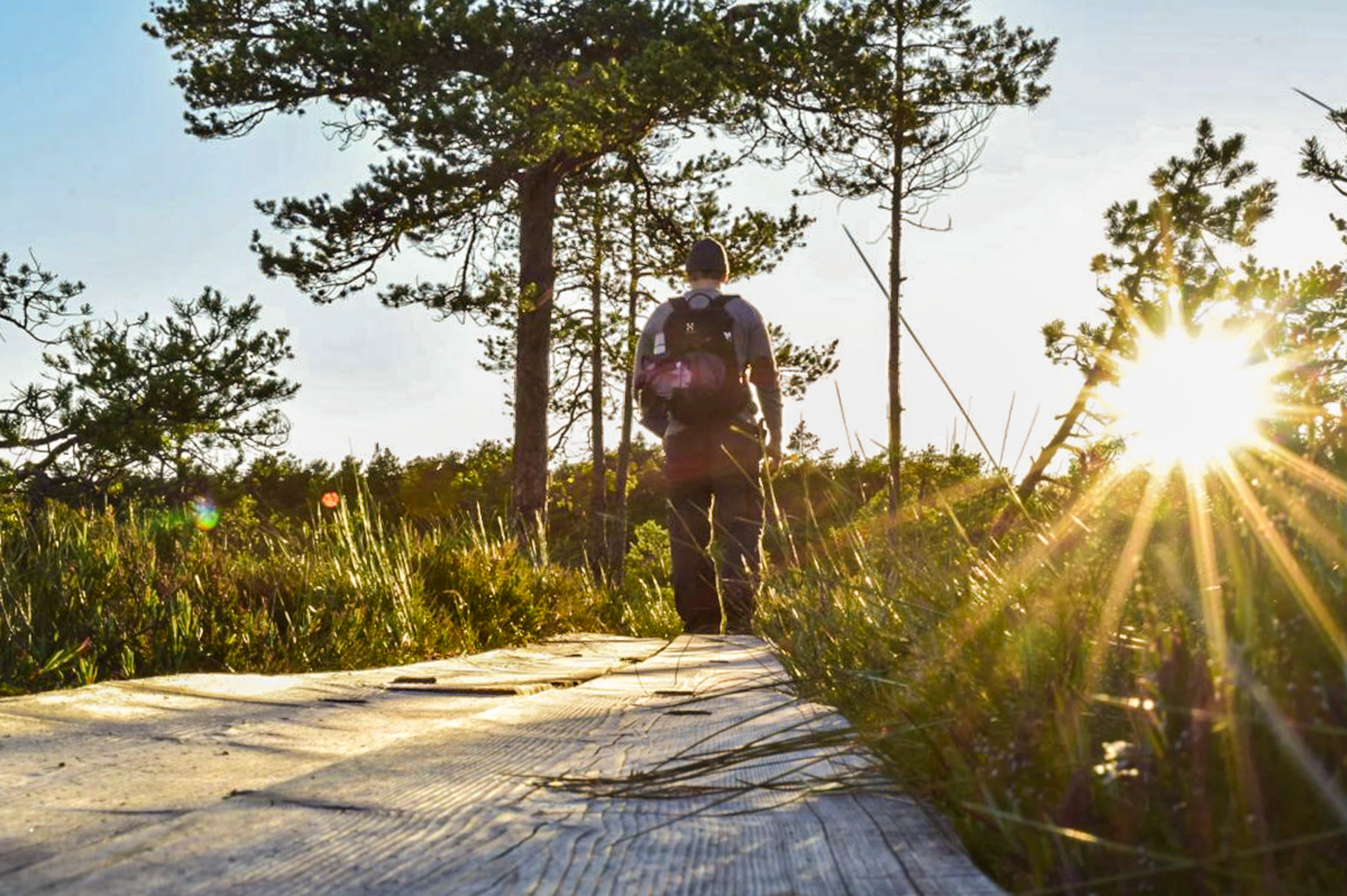 Rovaniemi activities – Wild berry and mushroom picking. Wild Nordic Finland @wildnordicfinland