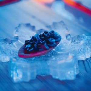 Dinner in the Ice Restaurant