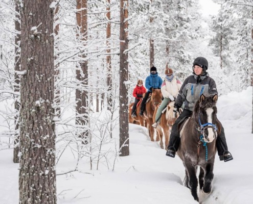 Horse Riding on the Winter Forest Trail
