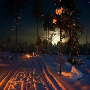 Late Night Finnhorses Ride Experience