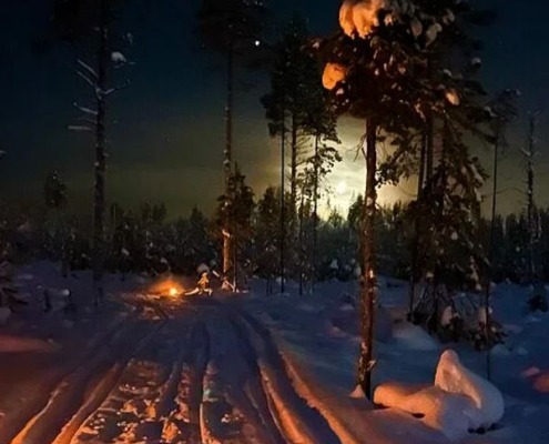 Late Night Finnhorses Ride Experience