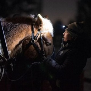 Northern Lights Tour & Sleigh Ride