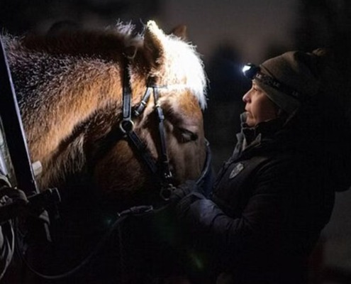 Northern Lights Tour & Sleigh Ride