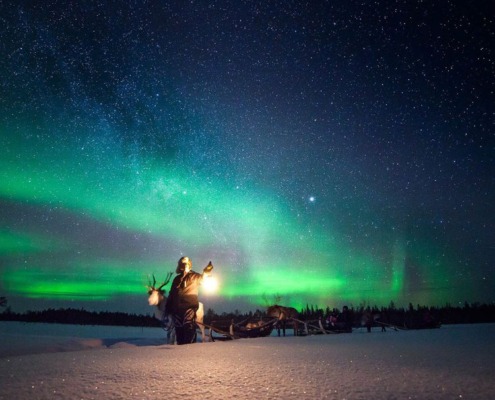 Reindeer Safari to Search for the Northern Lights