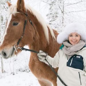 Riding Tour with Finnhorses at Santa Claus Village