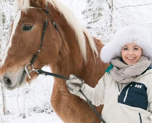 Riding Tour with Finnhorses at Santa Claus Village