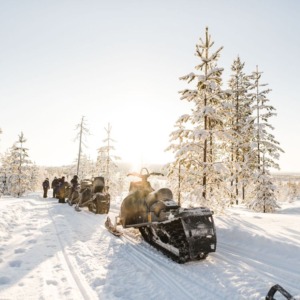2-hour Snowmobile Safari to the Levi Nature