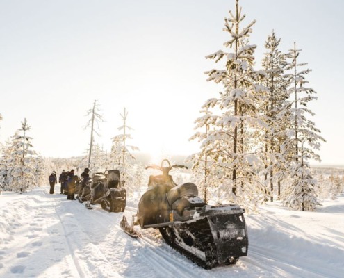 2-hour Snowmobile Safari to the Levi Nature