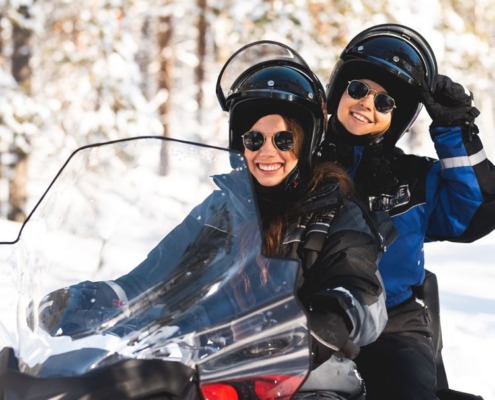 Snowmobile Reindeer and Husky Combo