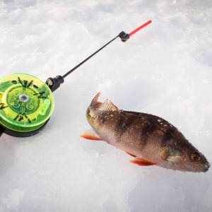 3,5-hour Snowmobile, Reindeer and Ice Fishing Combo