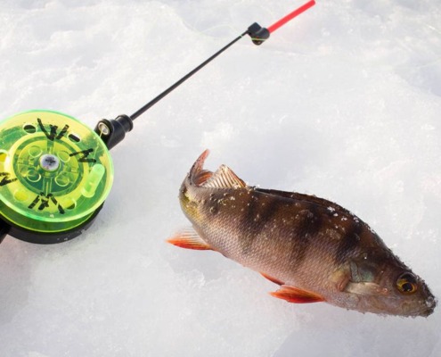 3,5-hour Snowmobile, Reindeer and Ice Fishing Combo