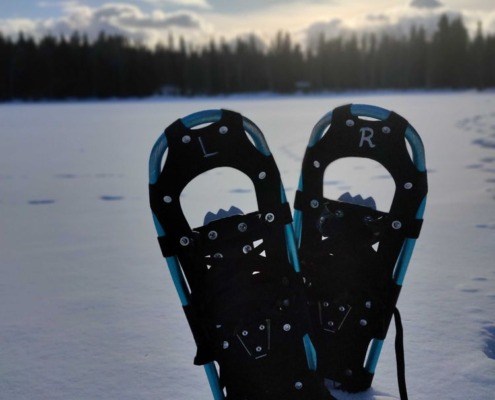 Snowshoeing in the Arctic Wilderness with Wild Nordic in Rovaniemi Finland