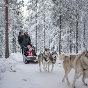 Husky Park Visit with 2 km Husky Ride