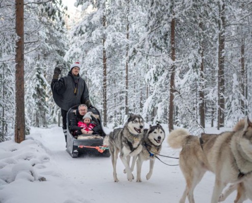 Husky Park Visit with 2 km Husky Ride
