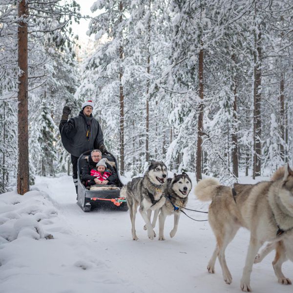 Husky Riders Husky Park Visit with 2 km Husky Ride | Wild Nordic